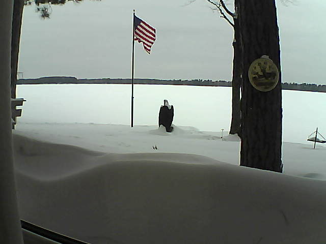 Whiteface Cam Image - Thu, 02/14/2019 9:16am 