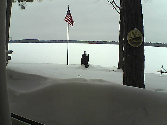 Whiteface Cam Image - Thu, 02/14/2019 9:36am 