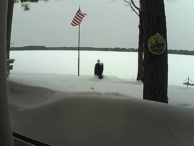 Whiteface Cam Image - Thu, 02/14/2019 10:06am 