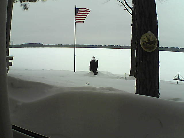 Whiteface Cam Image - Thu, 02/14/2019 10:26am 