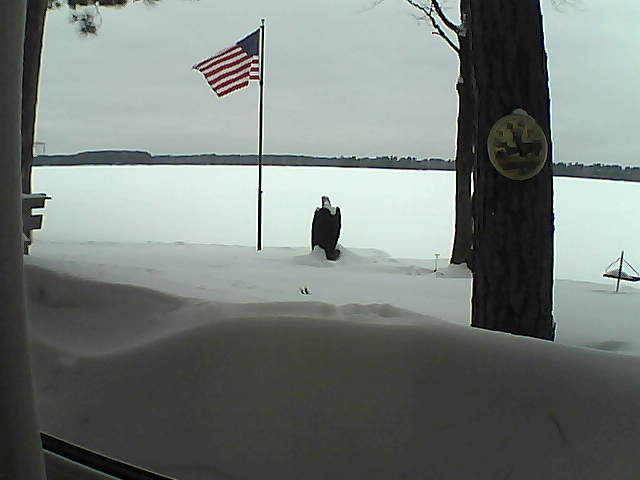 Whiteface Cam Image - Thu, 02/14/2019 11:16am 