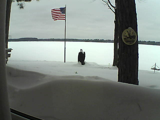 Whiteface Cam Image - Thu, 02/14/2019 11:27am 