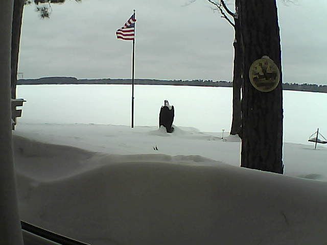 Whiteface Cam Image - Thu, 02/14/2019 11:36am 