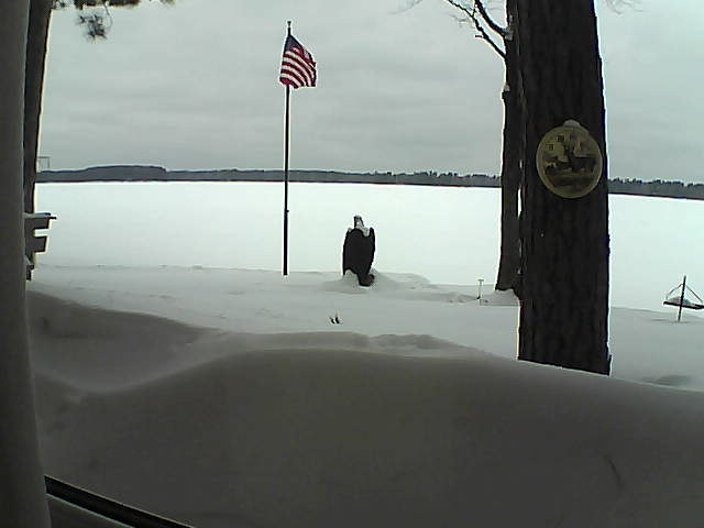 Whiteface Cam Image - Thu, 02/14/2019 11:47am 