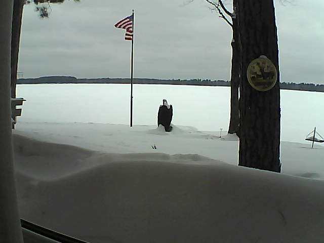 Whiteface Cam Image - Thu, 02/14/2019 11:57am 