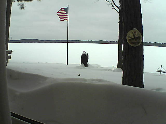 Whiteface Cam Image - Thu, 02/14/2019 12:07pm 