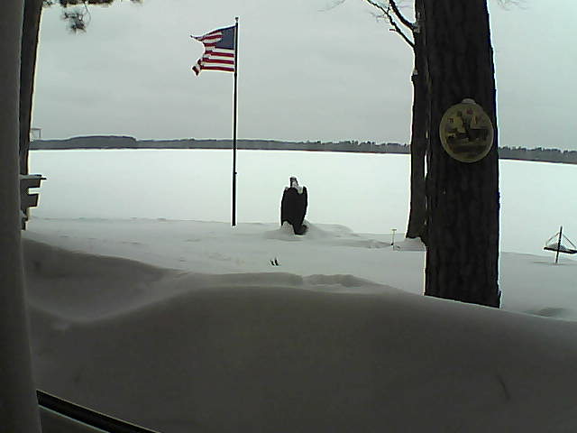 Whiteface Cam Image - Thu, 02/14/2019 12:27pm 