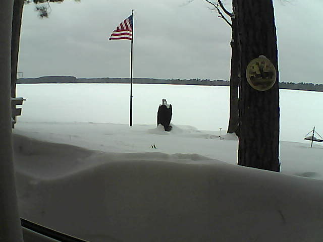 Whiteface Cam Image - Thu, 02/14/2019 12:47pm 