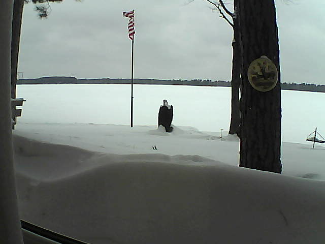 Whiteface Cam Image - Thu, 02/14/2019 12:57pm 