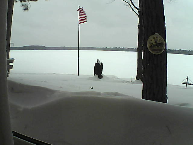 Whiteface Cam Image - Thu, 02/14/2019 1:07pm 