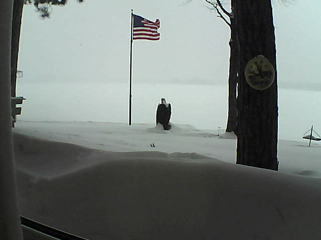 Whiteface Cam Image - Thu, 02/14/2019 1:27pm 