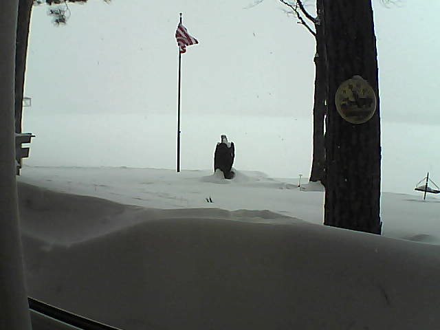 Whiteface Cam Image - Thu, 02/14/2019 1:37pm 