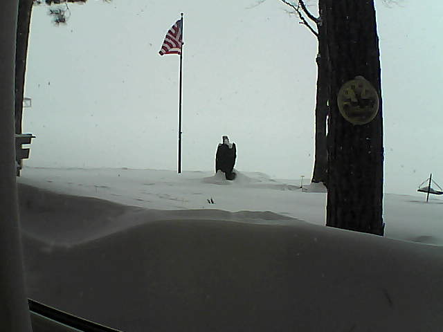 Whiteface Cam Image - Thu, 02/14/2019 1:47pm 