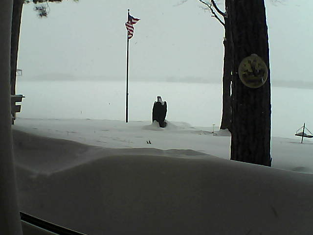 Whiteface Cam Image - Thu, 02/14/2019 1:57pm 