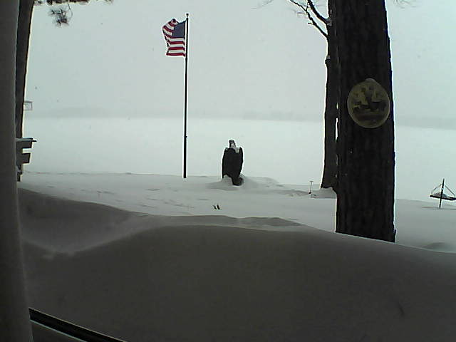 Whiteface Cam Image - Thu, 02/14/2019 2:07pm 