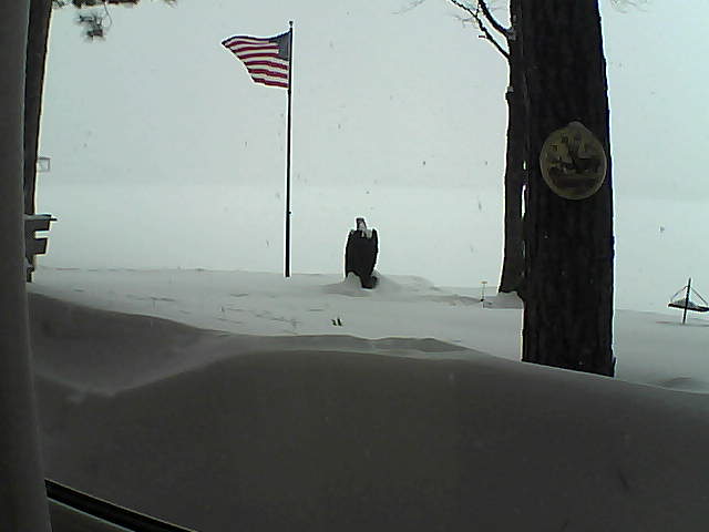 Whiteface Cam Image - Thu, 02/14/2019 2:17pm 