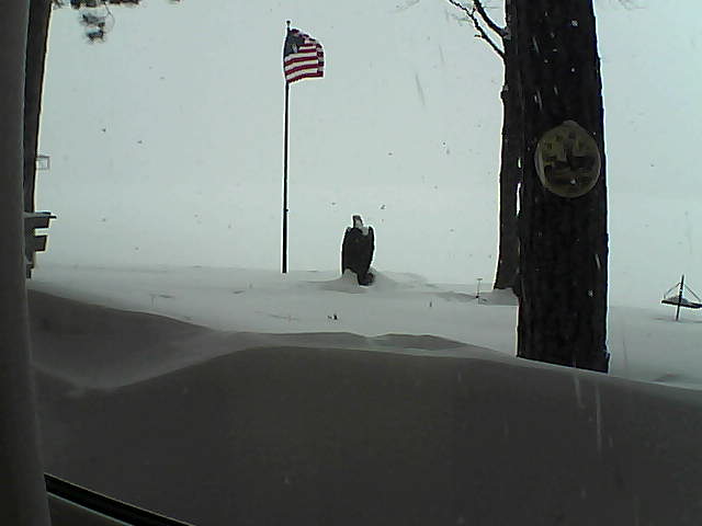 Whiteface Cam Image - Thu, 02/14/2019 2:27pm 