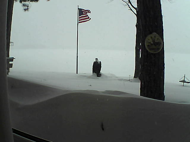 Whiteface Cam Image - Thu, 02/14/2019 2:37pm 