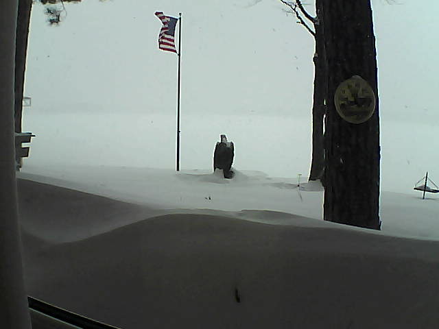 Whiteface Cam Image - Thu, 02/14/2019 2:47pm 