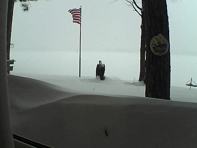 Whiteface Cam Image - Thu, 02/14/2019 3:17pm 