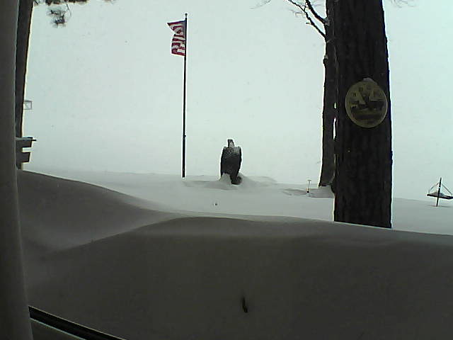 Whiteface Cam Image - Thu, 02/14/2019 3:27pm 