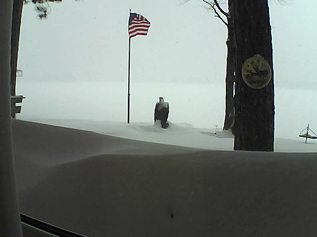 Whiteface Cam Image - Thu, 02/14/2019 4:17pm 