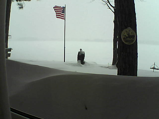 Whiteface Cam Image - Thu, 02/14/2019 4:37pm 