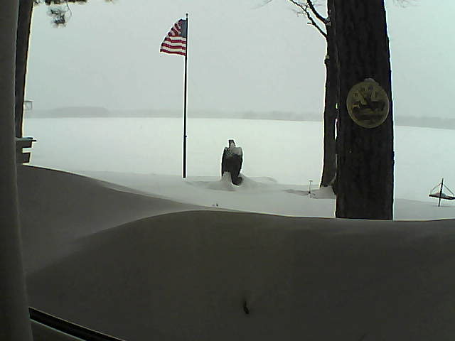 Whiteface Cam Image - Thu, 02/14/2019 4:47pm 