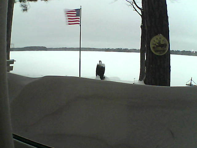 Whiteface Cam Image - Fri, 02/15/2019 6:55am 