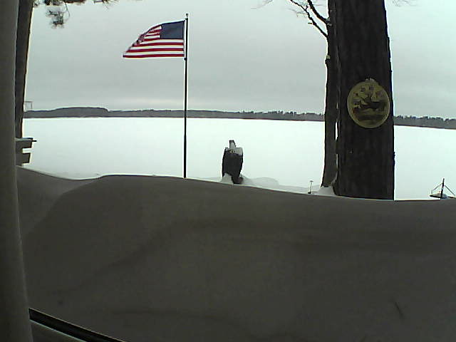 Whiteface Cam Image - Fri, 02/15/2019 7:15am 