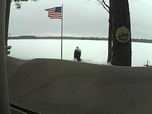 Whiteface Cam Image - Fri, 02/15/2019 7:25am 