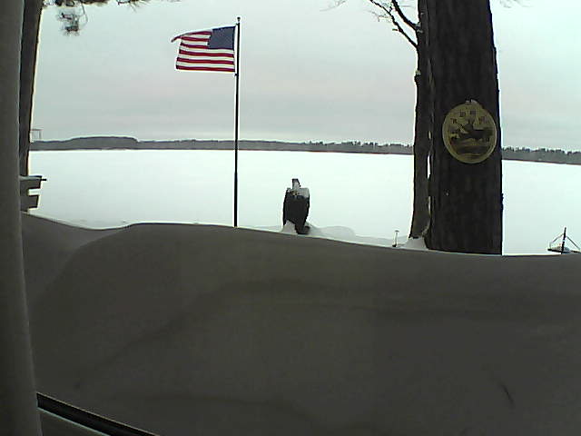 Whiteface Cam Image - Fri, 02/15/2019 7:35am 