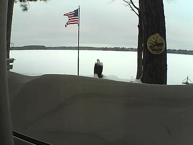 Whiteface Cam Image - Fri, 02/15/2019 7:45am 