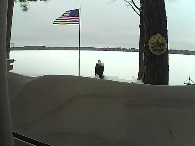 Whiteface Cam Image - Fri, 02/15/2019 7:55am 