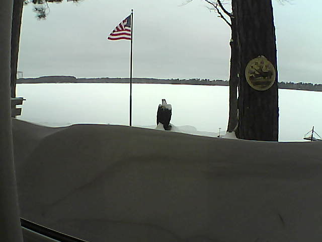 Whiteface Cam Image - Fri, 02/15/2019 8:05am 