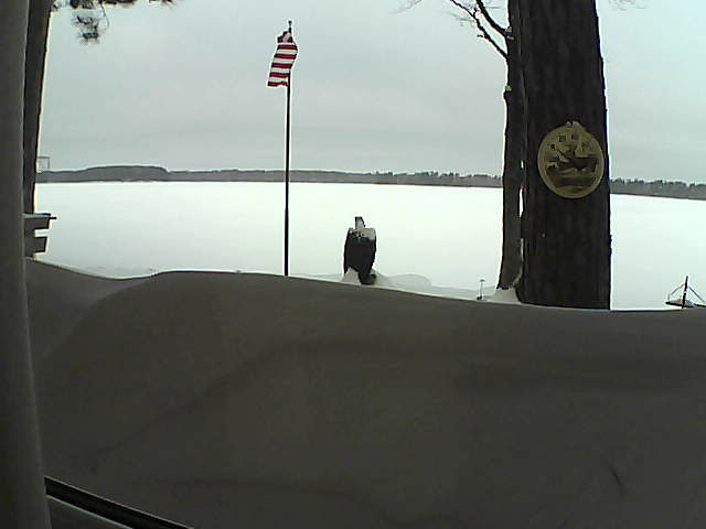 Whiteface Cam Image - Fri, 02/15/2019 8:15am 