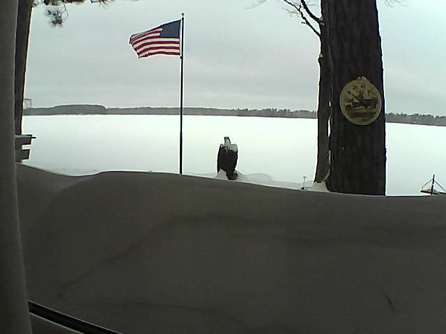 Whiteface Cam Image - Fri, 02/15/2019 8:25am 