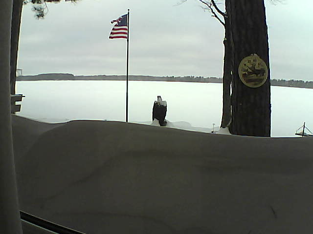 Whiteface Cam Image - Fri, 02/15/2019 8:35am 