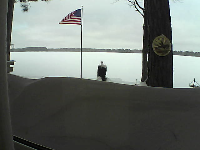 Whiteface Cam Image - Fri, 02/15/2019 8:45am 