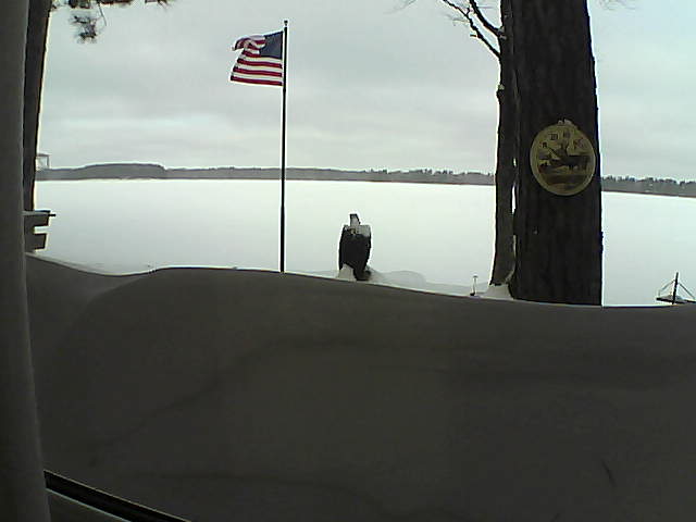 Whiteface Cam Image - Fri, 02/15/2019 8:55am 