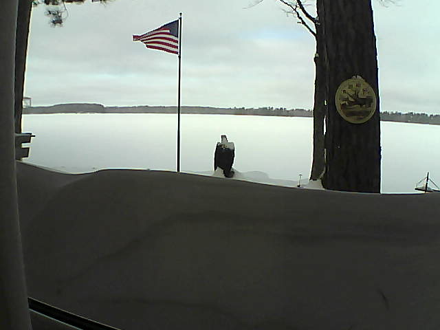 Whiteface Cam Image - Fri, 02/15/2019 9:05am 