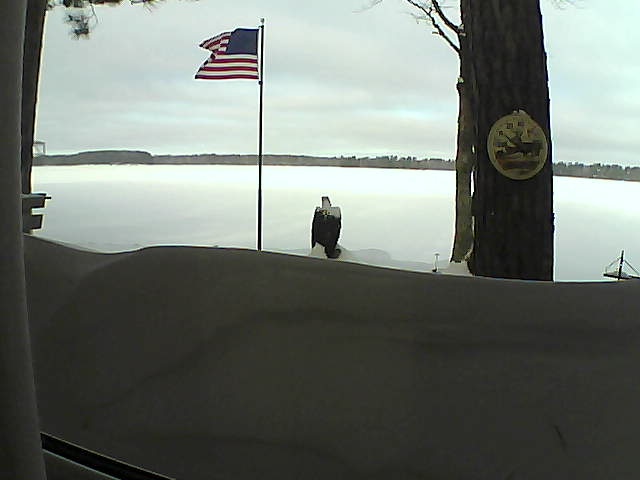 Whiteface Cam Image - Fri, 02/15/2019 9:15am 