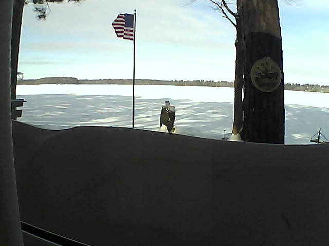 Whiteface Cam Image - Fri, 02/15/2019 9:35am 