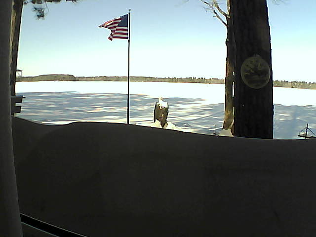 Whiteface Cam Image - Fri, 02/15/2019 10:05am 