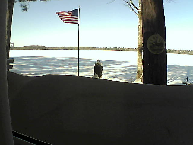 Whiteface Cam Image - Fri, 02/15/2019 10:15am 