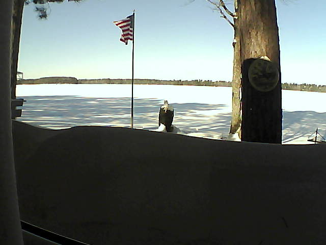 Whiteface Cam Image - Fri, 02/15/2019 10:25am 