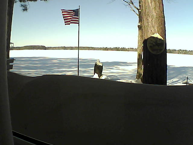 Whiteface Cam Image - Fri, 02/15/2019 10:35am 