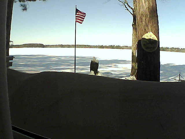 Whiteface Cam Image - Fri, 02/15/2019 10:45am 