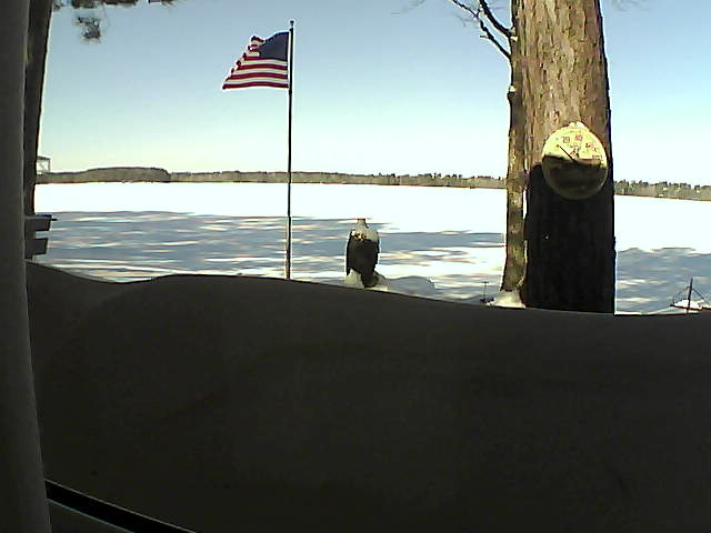 Whiteface Cam Image - Fri, 02/15/2019 10:55am 