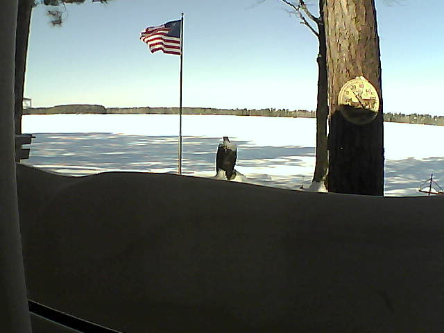 Whiteface Cam Image - Fri, 02/15/2019 11:05am 